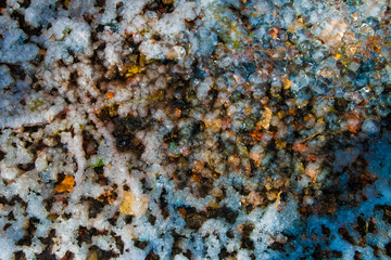 Background texture of frozen soil on a sunny day.