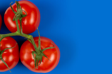 large red tomatoes on a branch close-up