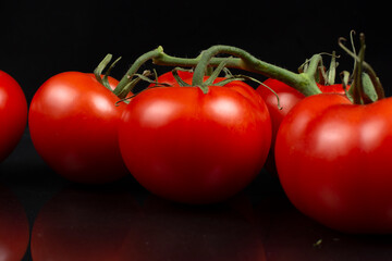 large red tomatoes on a branch close-up on a black background