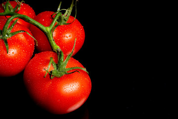 a bunch of large tomatoes with water drops on a black background