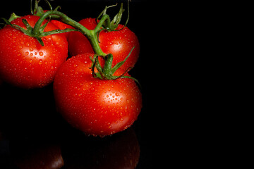 крупные красные помидоры на ветке на черном фоне