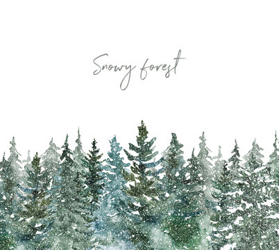 Winter snowy pine forest illustration. Watercolor evergreen trees and falling snow. Scenery landscape graphics. Christmas card design with white background.