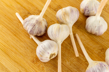fresh garlic large heads white vegetable is used to add taste and aroma to meat