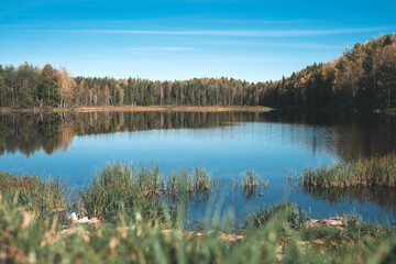 Reflections on the Coniferous Forest on a Wilderness Lake