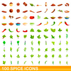 100 spice icons set. Cartoon illustration of 100 spice icons vector set isolated on white background