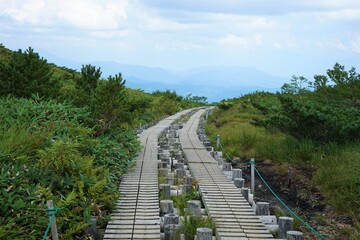 北アルプス連峰の登山　長野県白馬村八方尾根 - Trekking Path in Happo One, Hakuba, Nagano prefecture, Japan