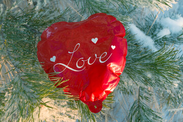 Scarlet heart on the branches of the fir.