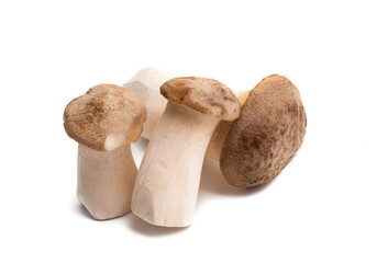 eringi mushrooms isolated