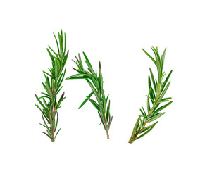 Fresh green sprigs of rosemary isolated on a white background