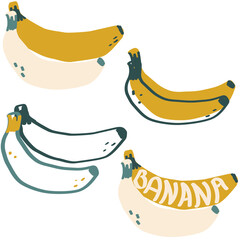 Banana exotic fruit modern flat vector illustration, simple and minimalistic set of bananas for print and web design