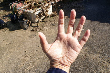 しわが多い左手