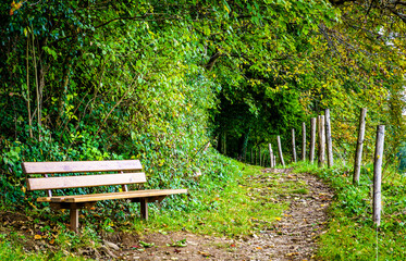 old bench at a park