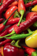 vertical chili pepper bright vegetable pattern red and yellow closeup