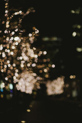 クリスマス　イルミネーション