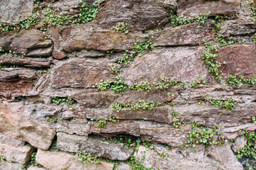 Stone brick wall texture and green grass. Natural background. Old stone pavement with fresh grass. Grunge style.