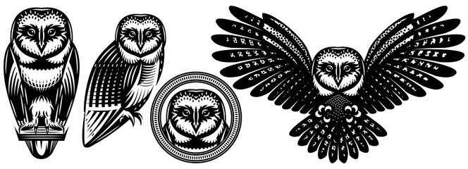 Set of owls in different positions. Vector monochrome illustrations. Templates for design, tattoo, print, advertising poster