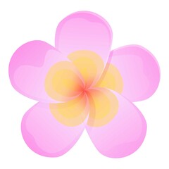 Party plumeria icon. Cartoon of party plumeria vector icon for web design isolated on white background