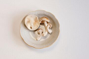 Fresh shiitake mushrooms lie in a plate on white background. Top view close up with copy space.