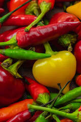 hot yellow round pepper on a background of red long pod background bright