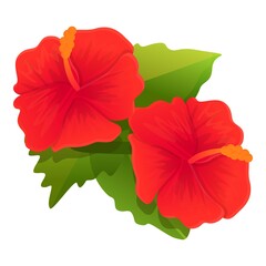 Bloom hibiscus icon. Cartoon of bloom hibiscus vector icon for web design isolated on white background