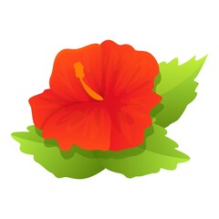 Blossom hibiscus icon. Cartoon of blossom hibiscus vector icon for web design isolated on white background