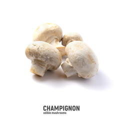 Champignon mushrooms, isolated on a white background.