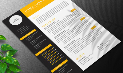 Professional CV/Resume Layout and Cover letter