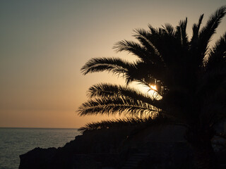 Zachód słońca nad morzem, górami i palmami
