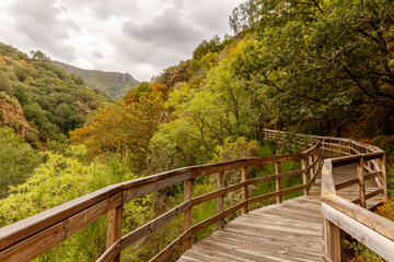 Fototapeta na wymiar Valle frondoso con pasarela