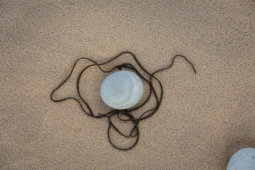 Fototapeta na wymiar Seaweed and Pebbles on Sand