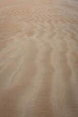 Fototapeta na wymiar Ripples and textures on Sand