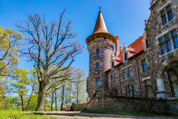 Latvia: Cesvaine castle - a manor house of the late 19th century, a building of stones of different colors with a brown tiled roof, tree without leaves, green grass.
