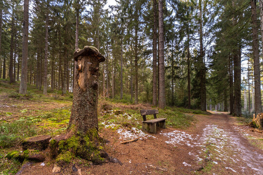 Sankt Englmar Wanderweg zum Pröller | Proeller Skidreieck | Bayerischer Wald