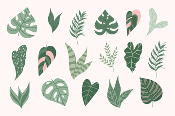 Modern ropical leaves.Botanical elements.Jungle leaves