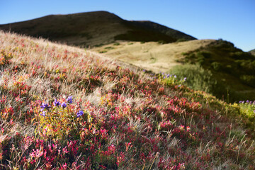 Beautiful sunset from the tops of the mountains of the Carpathians in spring.