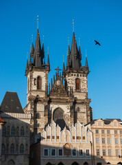Fototapeta na wymiar Tyn Church in the old square in the center of Prague.