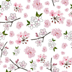 Elegant Cherry blossom seamless pattern