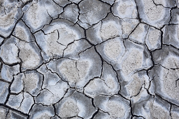  Close-up texture of cracks on dry ground.