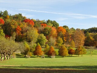 autumn in the park