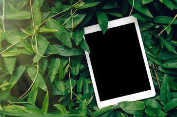 a blank tablet mockup on green natural leaves