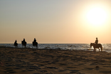 Jeźdźcy na koniach spacerują po plaży nad morzem, wzdłuż brzegu, podczas zachodzącego słońca.