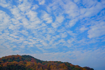 晩秋の空