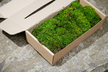 herbs in a box. Iceland thick sterilized moss for decoration