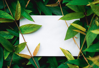 Paper Card note, Mockup, on a Green Leaves