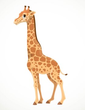 Cute cartoon giraffe isolated on a white background