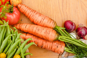 Harvest vegetables on the ground. Potatoes, carrots, beets, peppers, tomatoes, cucumbers, beans, pumpkin, onions and garlic. Autumn harvest farmers