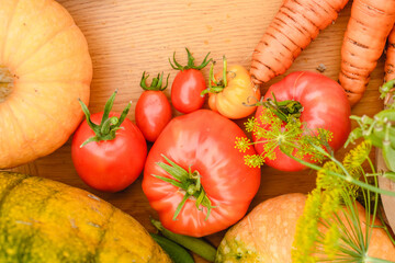 Harvest vegetables on the ground. Potatoes, carrots, beets, peppers, tomatoes, cucumbers, beans, pumpkin, onions and garlic. Autumn harvest farmers