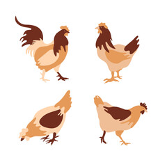 The silhouette of a chicken consists of multi-colored segments. Agriculture.