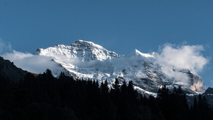 Fototapeta na wymiar trees silhouette against a snow covered mountain top