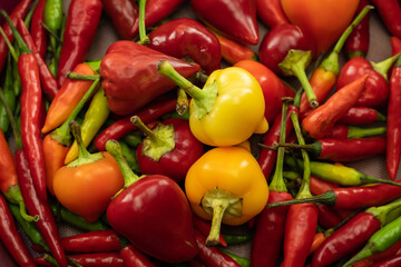yellow and red chili peppers round and long pod background culinary seasoning vegetables